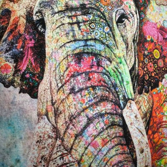 Cojin estampado elefante 45x45 ELEPHANT